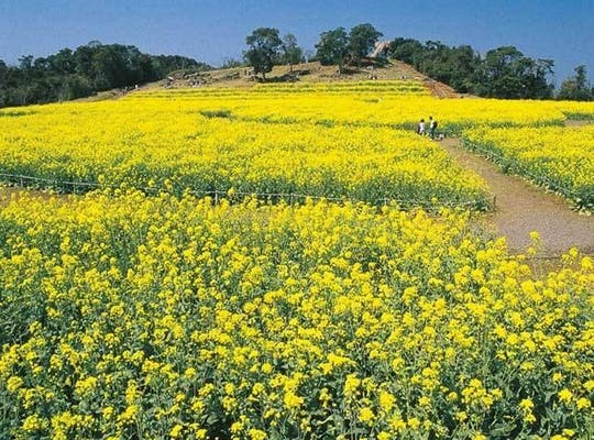 パーティーイメージ